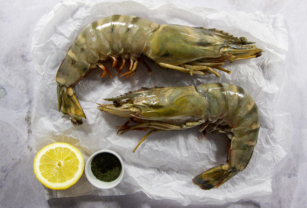 What Are The Giant Prawns You Can Buy?